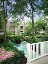 Cypress Creek