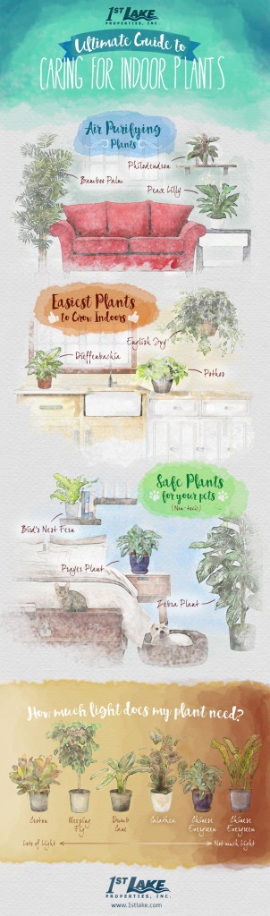 Looking to add a little green in your life? We've got the ultimate guide to caring for indoor plants! Head to 1stlake.com to learn about the best types of indoor plants, plus tips for caring for them. 