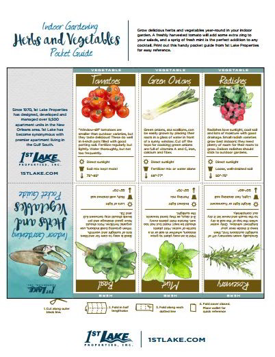 Print this free indoor garden pocket guide to herbs and vegetables. It will come in handy when you're shopping at the garden center! Head to 1stlake.com to learn about the best types of indoor plants, plus tips for caring for them. 