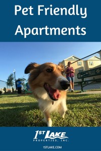 Find thousands of pet friendly apartments near New Orleans at 1st Lake Properties. via 1stlake.com