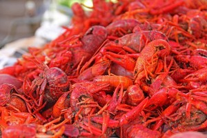 crawfish-169694_640