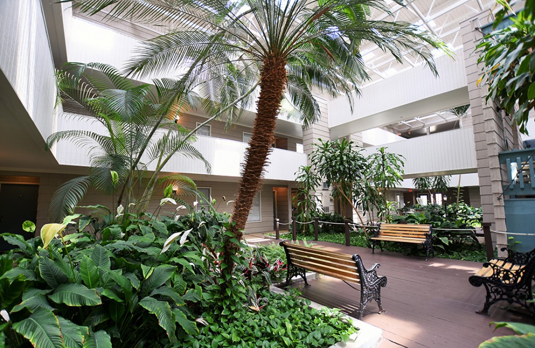 Natchez Landing Apartments in Metairie, LA 1 & 2 Bedroom Apartments