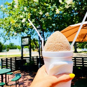 Grab a New Orleans snowball for you and your dog too at Ike's Snowballs, located right near New Orleans City Park. 