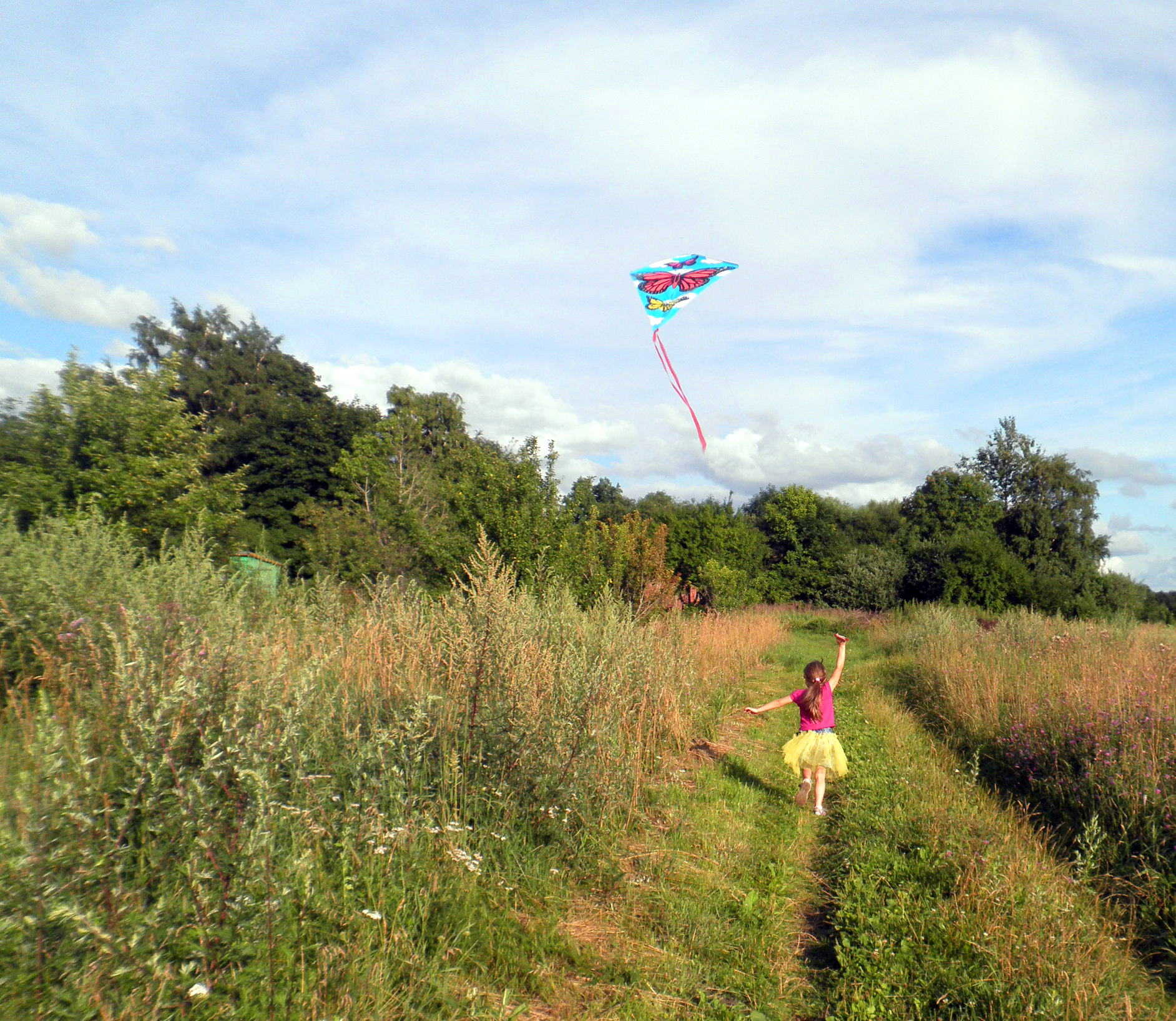 Explain the Singlish Term: Go Fly Kite 🪁 #tropicstreet
